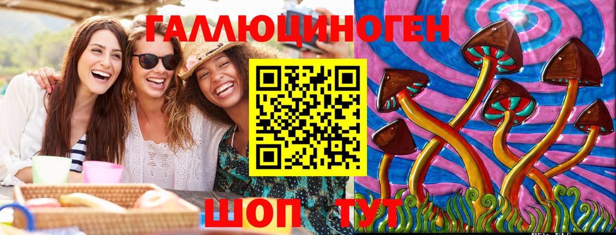 Галлюциногенные грибы Psilocybe Зеленодольск