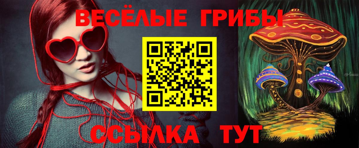 Галлюциногенные грибы GOLDEN TEACHER  Галлюциногенные грибы мухоморы  Зеленодольск  Вход с VPN 